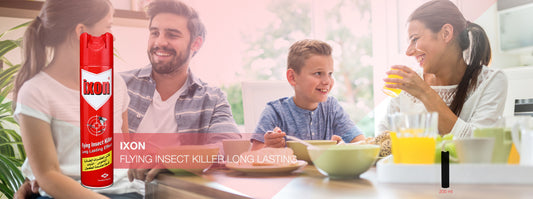 إكسون مبيد الحشرات الطائرة